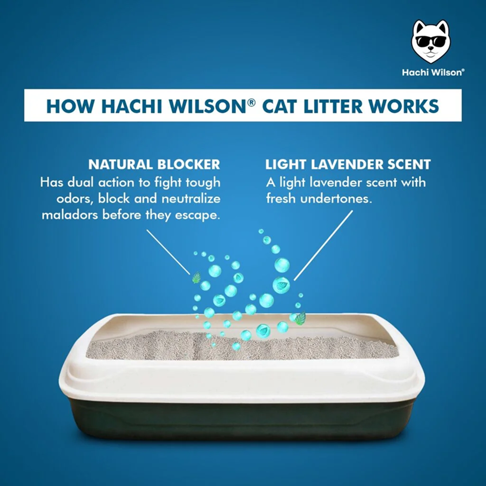 Hachi Wilson Scented Natural Bentonite White Sand Cat Litter Cats-Litter Hachi Wilson