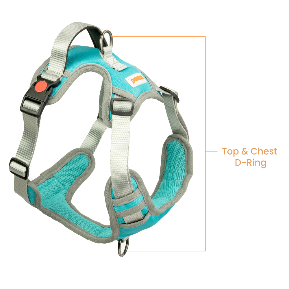 Kibbo Reflective Vest Harness with Dual Lock Buckle for Dogs (Sea Green)