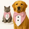 PawsIndia Valentines Edition Checks with Hearts Printed Tuxedo for Dogs and Cats Both-Clothing & Accessories Pawsindia Dropship