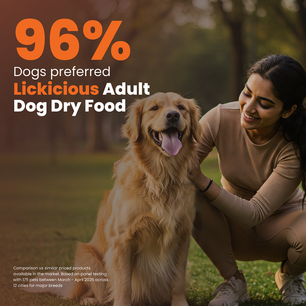 Lickicious Chicken and Vegetables Adult Dog Dry Food
