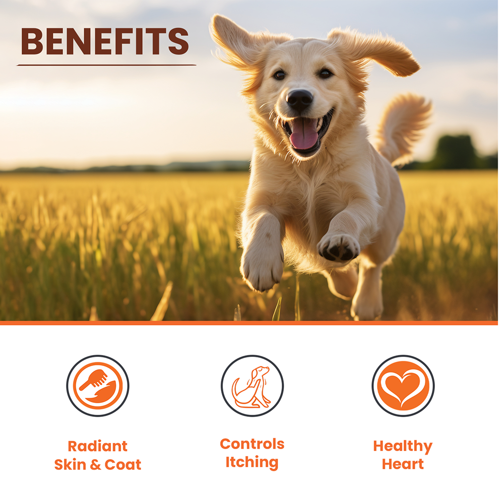 Lickicious Skin & Coat Syrup with Salmon Oil Omega 3 6 9 for Dogs & Cats Both-Health & Wellness Lickicious