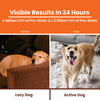 Lickicious Pre and Probiotics Sachets,Gut Health & Digestion for Dogs & Cats Both-Health & Wellness Lickicious