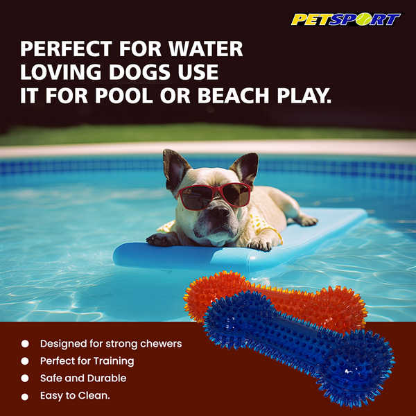 Petsport Gorilla Spiky Bone Toy for Dogs (Blue & Red)