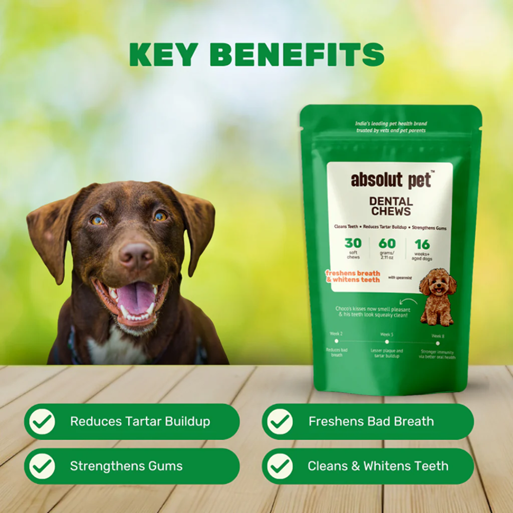 Absolut Pet Oral Care Plaque & Tartar Remover Chews Dog Supplements Dogs-Health & Wellness Absolut Pet