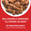 Drools Real Chicken & Chicken Liver Chunks in Gravy Puppy Dog Wet Food Dogs-Wet Food Drools