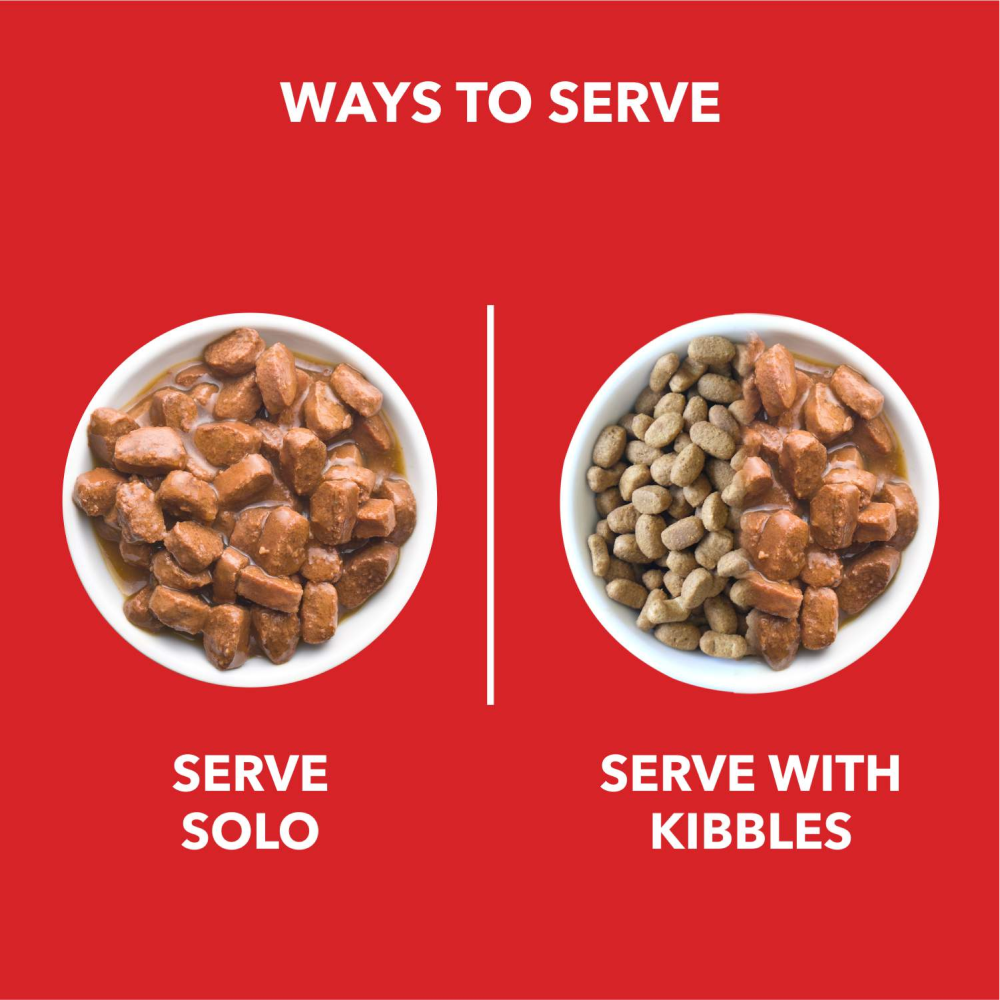 Drools Focus Super Premium Dry Food and Chicken & Chicken Liver Chunks in Gravy Puppy Dog Wet Food Combo Dogs- Dry Food Drools Focus