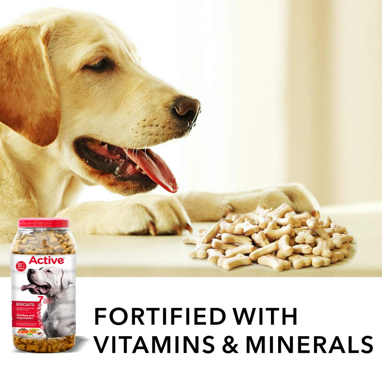 Active Chicken and Vegetables Biscuit Dog Treats (Buy 1 Get 1) Dog Treats + Others Active