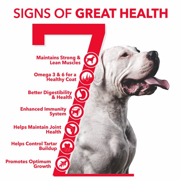 Active Chicken and Vegetables Adult Dog Dry Food