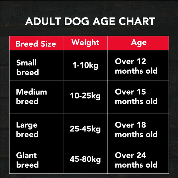 Active Chicken and Vegetables Adult Dog Dry Food (Buy 1 Get 1)