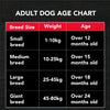 Active Chicken and Vegetables Adult Dog Dry Food (Buy 1 Get 1) Dogs- Dry Food Active