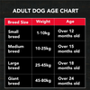 Active Chicken and Vegetables Adult Dog Dry Food Dogs- Dry Food Active