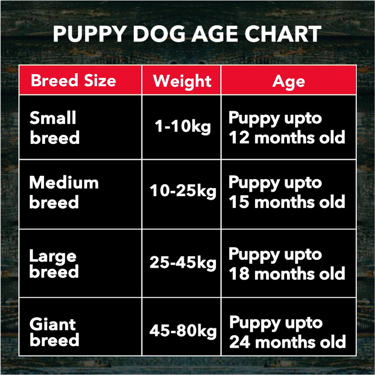 Active Chicken and Vegetables Puppy Dog Dry Food (Buy 1 Get 1) Dogs- Dry Food Active