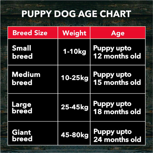 Active Chicken and Vegetables Puppy Dog Dry Food (Buy 1 Get 1)