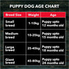 Active Chicken and Vegetables Puppy Dog Dry Food (Buy 1 Get 1) Dogs- Dry Food Active