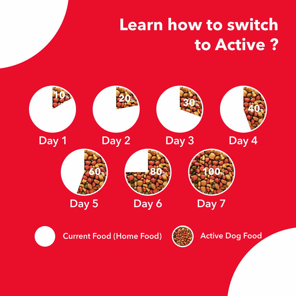 Active Chicken and Vegetables Puppy Dog Dry Food Dogs- Dry Food Active