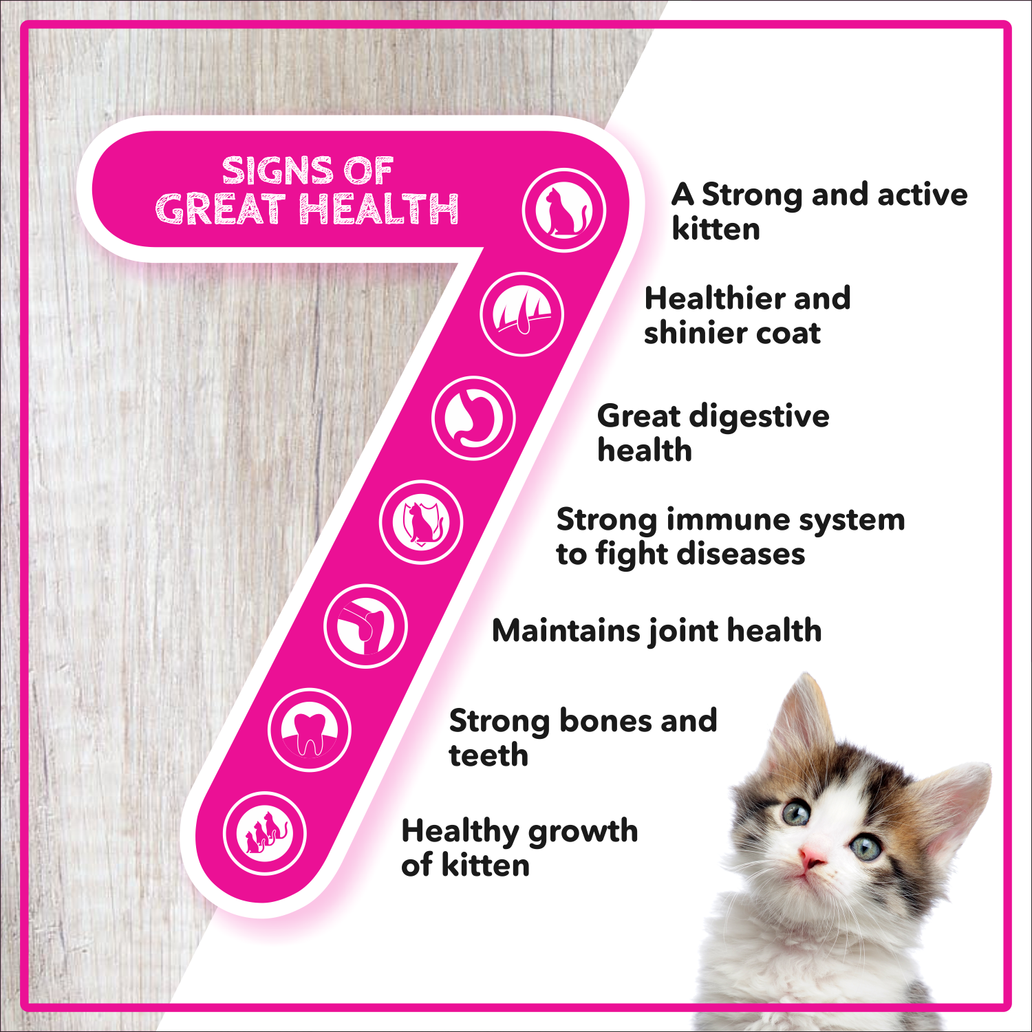 Active Ocean Fish Kitten Cat Dry Food (Buy 1 Get 1) Cats- Dry food Active