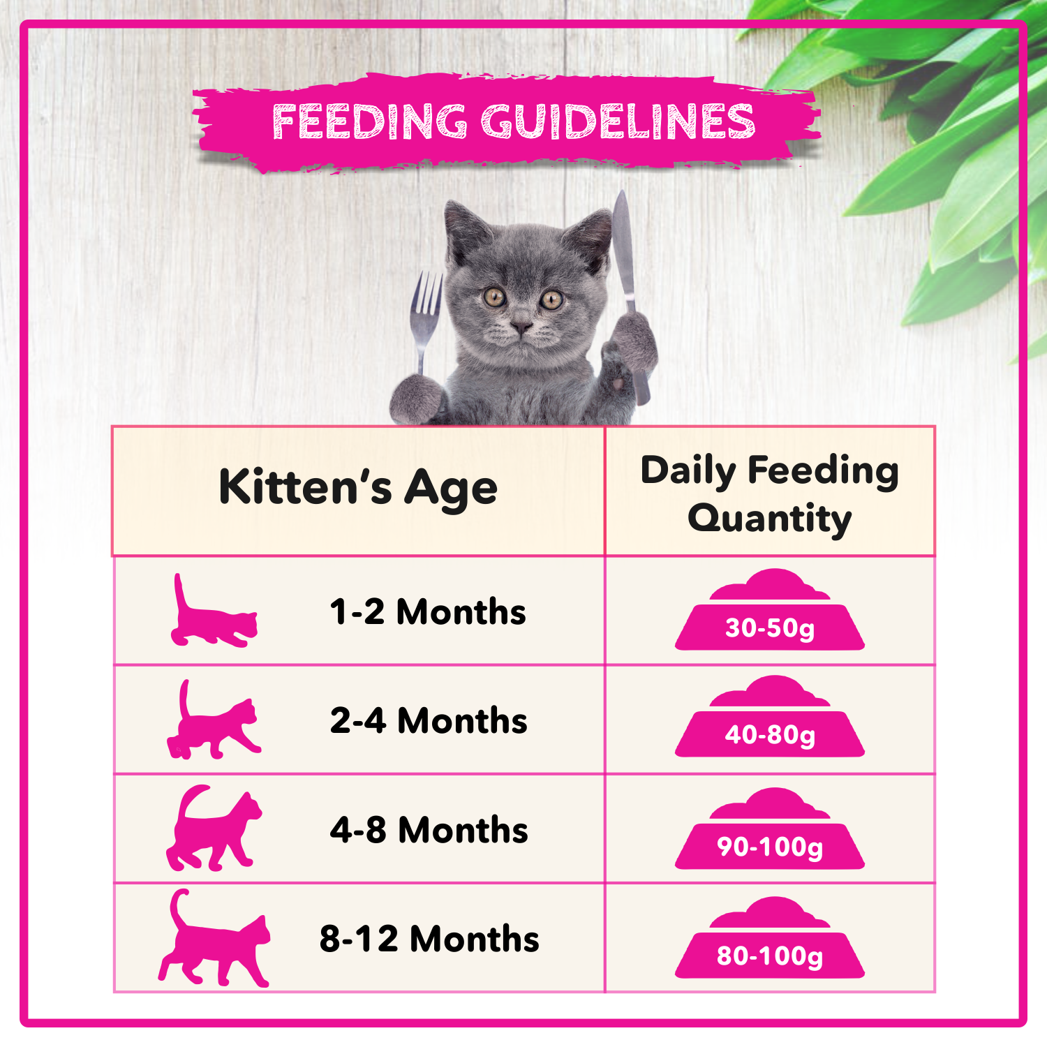 Active Ocean Fish Kitten Cat Dry Food (Buy 1 Get 1) Cats- Dry food Active