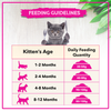 Active Ocean Fish Kitten Cat Dry Food (Buy 1 Get 1) Cats- Dry food Active