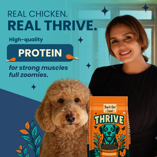 Bark Out Loud Thrive Chicken Flavour Adult Dog Dry Food