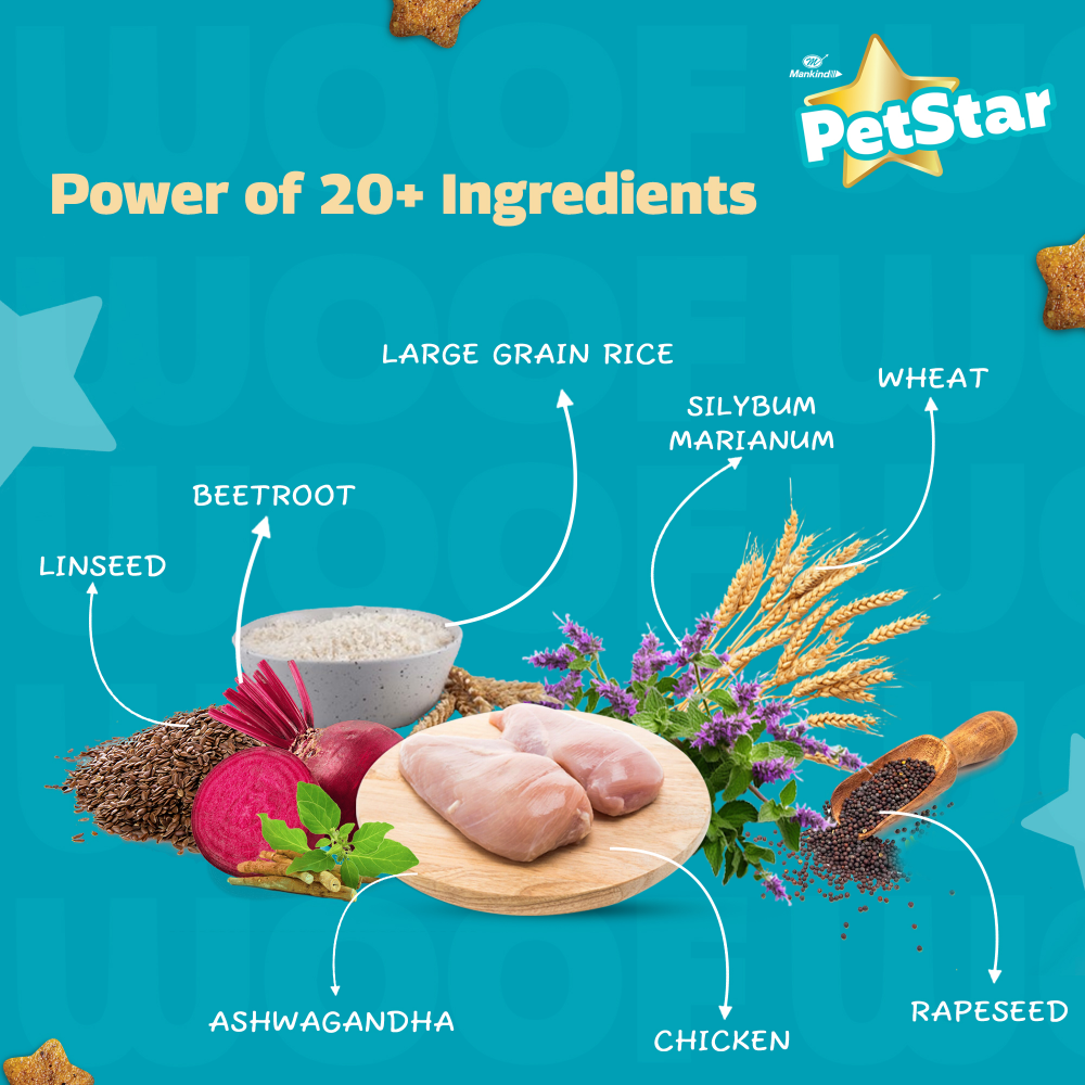 Mankind Petstar Chicken and Wheat Adult Dog Dry Food Dogs- Dry Food Petstar
