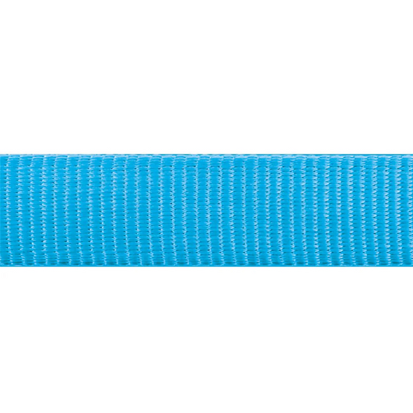 Red Dingo Classic Leash For Dogs (Turquoise)