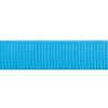 Red Dingo Classic Leash For Dogs (Turquoise) Dogs-Collar, Leashes, harnesses Red Dingo Dropship