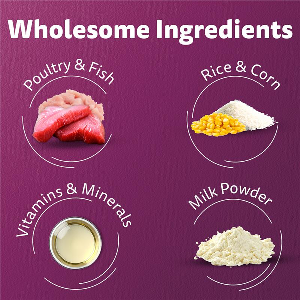 Whiskas Mackerel Flavour Kitten (2 to 12 months)Cat Dry Food Cats- Dry food Whiskas