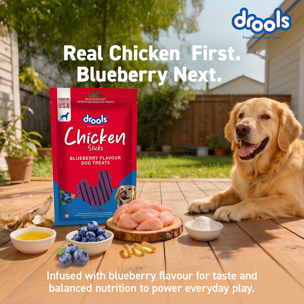 Drools Blueberry Flavour Chicken Sticks Treat for Dogs Dog Treats + Others Drools