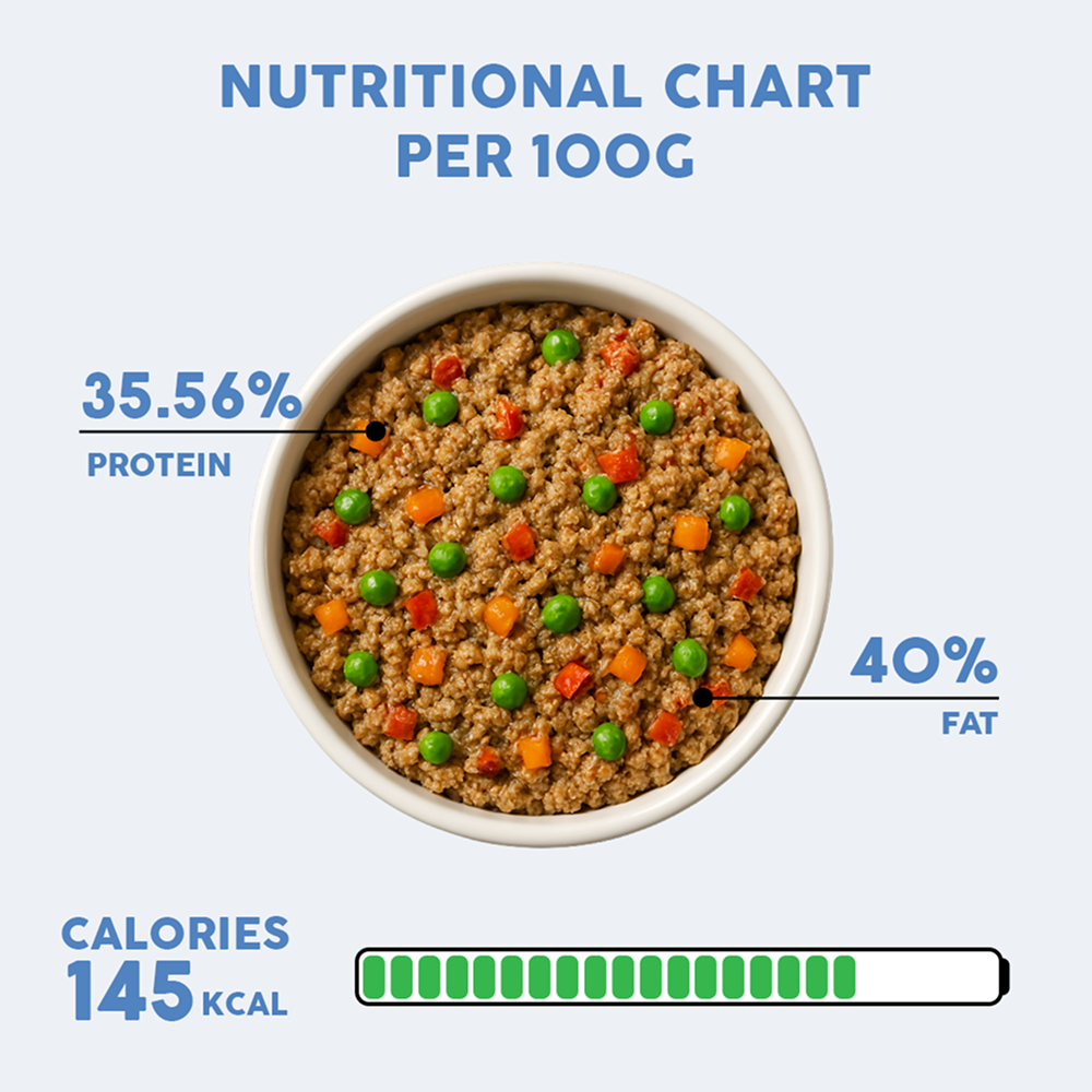 Benny's Bowl Clinical Nutrition for Healthy Skin and Coat Dog Wet Food Dogs-Fresh Food Bennys Bowl