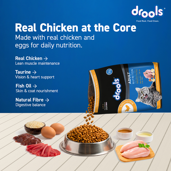 Drools Real Chicken Adult Cat Dry Food