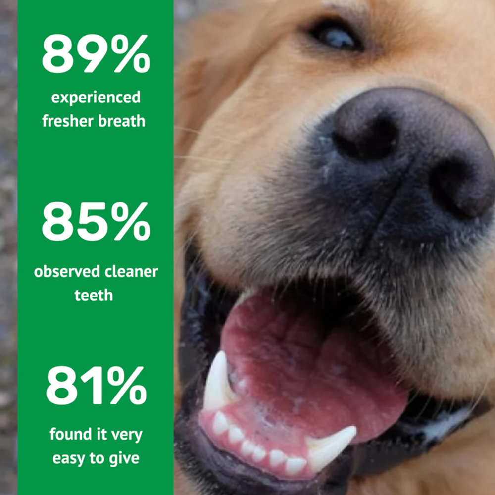 Absolut Pet Oral Care Plaque & Tartar Remover Chews Dog Supplements Dogs-Health & Wellness Absolut Pet