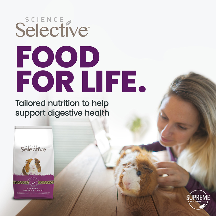 Science Selective Guinea Pig Food Hamster & Guinea pigs Science Selective