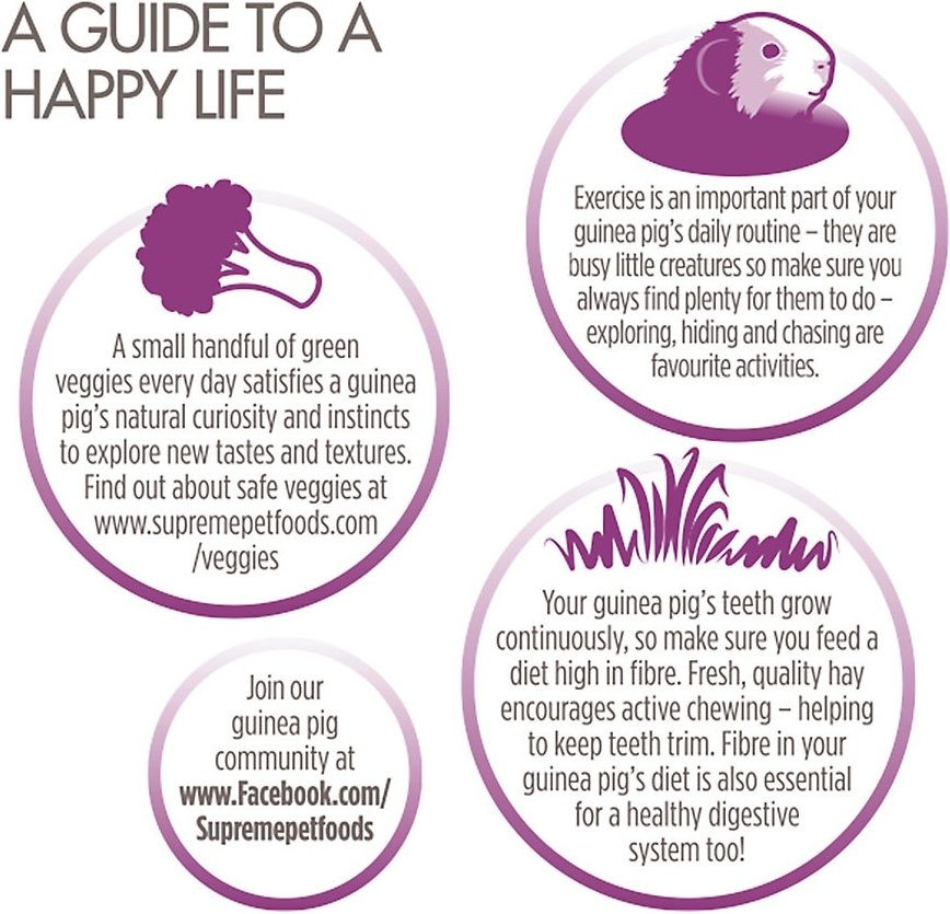 Science Selective Guinea Pig Food Hamster & Guinea pigs Science Selective