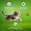 Kitekat Ocean Fish Adult Cat Dry Food Cats- Dry food Kitekat