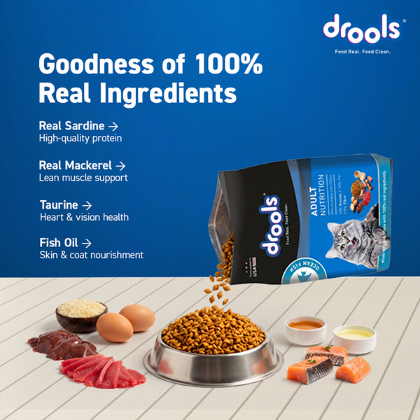 Drools Ocean Fish Adult Cat Dry Food