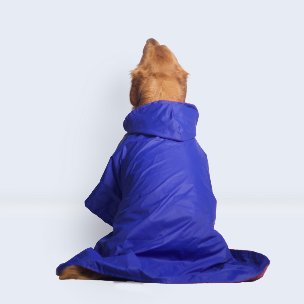 Pet Set Go Cape Style Raincoat for Dogs (Blue)