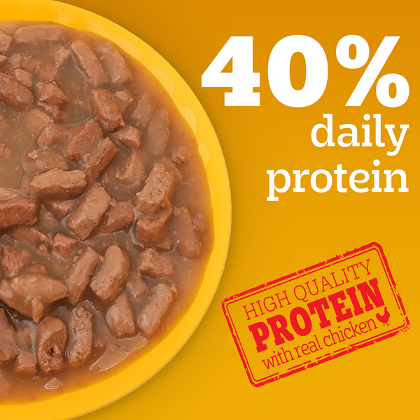 Pedigree Chicken and Liver Chunks in Gravy Adult Dog Wet Food (130g)