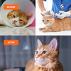 Absolut Pet Immunity Mousse Cat Supplement