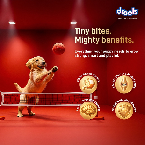 Drools Meat and Milk Puppy Dog Dry Food