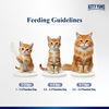 Kitty Yum Chicken Mousse Adult Cat Wet Food Cats-Wet Food Kitty Yums