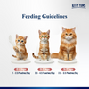 Kitty Yum Salmon Mousse Adult Cat Wet Food Cats-Wet Food Kitty Yums