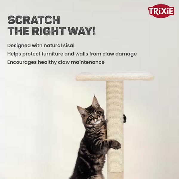 Trixie Baena scratching post for Cats (Beige)