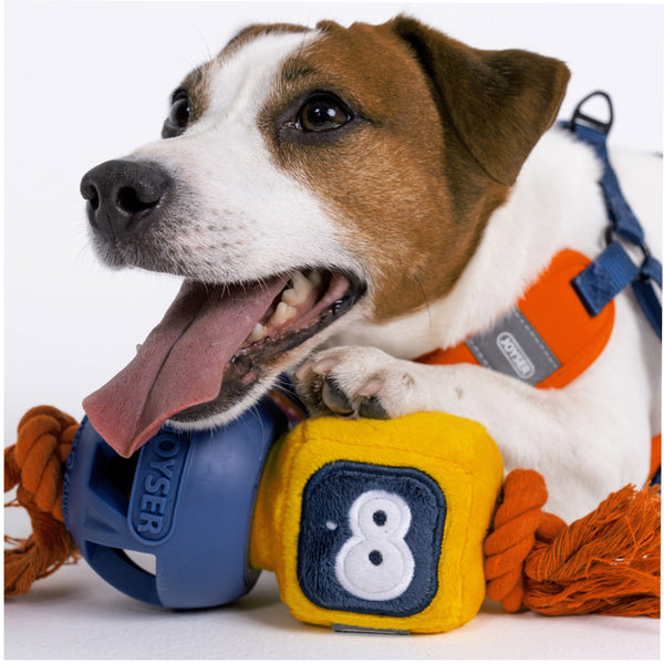 Joyser Cageball Rubber Ball with Robot for Dogs (Yellow/Blue)