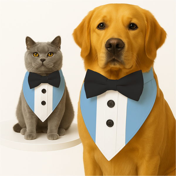 PawsIndia Baby Blue Tuxedo Bandana with Black Bow for Dogs and Cats