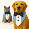 PawsIndia Baby Blue Tuxedo Bandana with Black Bow for Dogs and Cats Both-Clothing & Accessories Pawsindia Dropship
