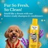 Bark Out Loud Festive Gift Box for Dogs Exclusive Combo Bark Out Loud