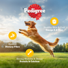 Pedigree Chicken and Vegetables Adult Dog Dry Food Dogs- Dry Food Pedigree