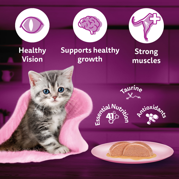 Whiskas Kitten Wet Food Value Combo |Chicken, Tuna & Mackerel