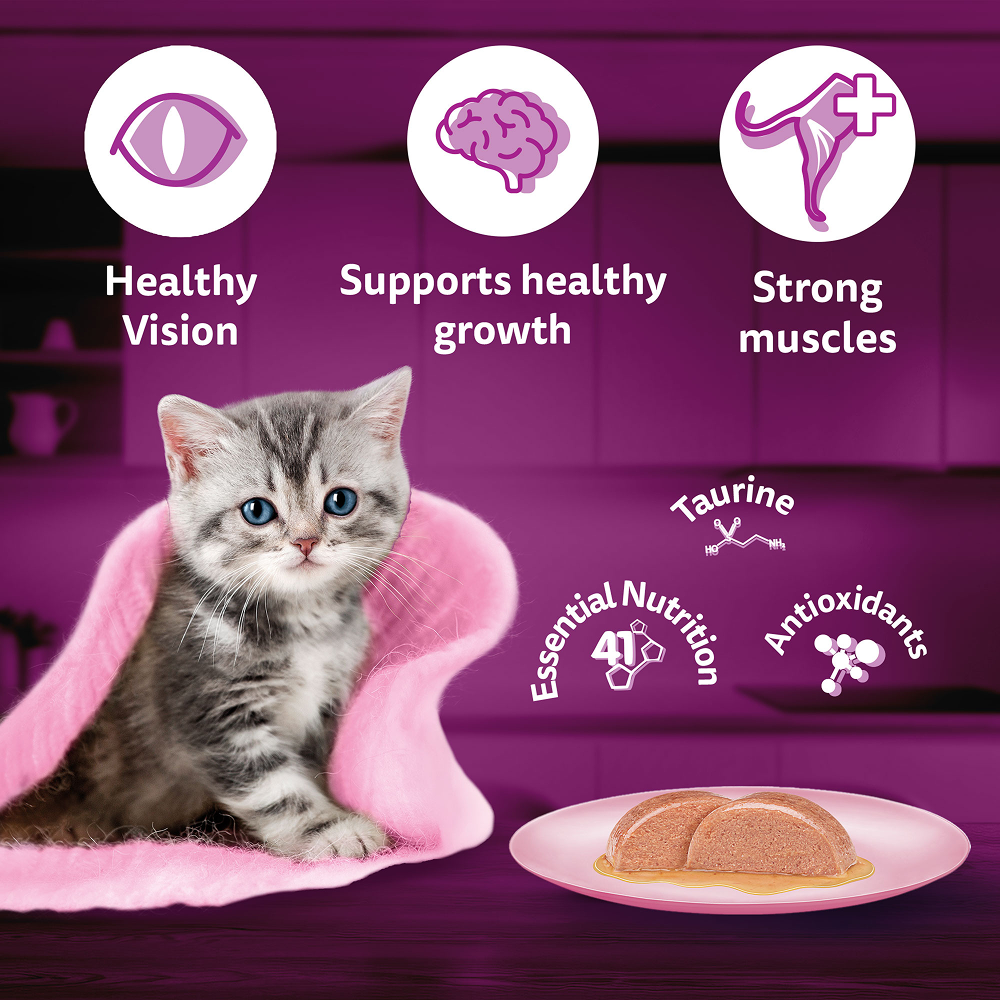 Whiskas Junior Mackerel Flavour Kitten (2-12 months) Cat Wet Food Cats-Wet Food Whiskas