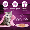 Whiskas Junior Mackerel Flavour Kitten (2-12 months) Cat Wet Food Cats-Wet Food Whiskas
